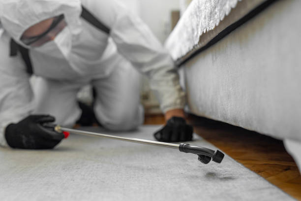 Professional Bed Bug Control technician working in Waimanalo, HI